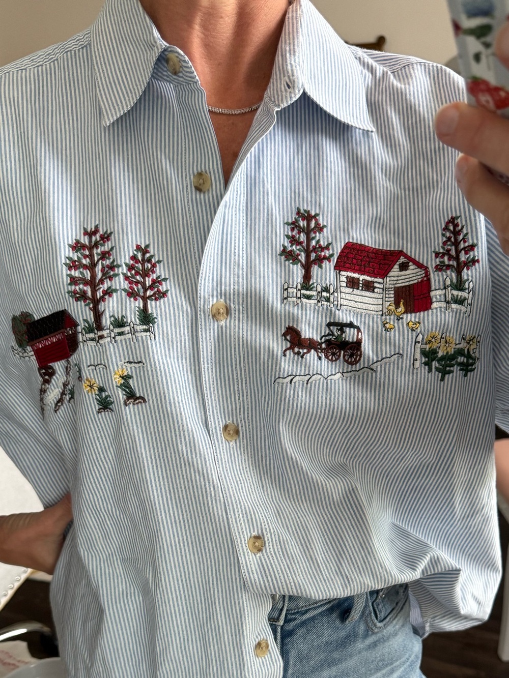 Cabin Creek Apple Orchard Embroider Stripe Button Shirt XL Harvest Fall Cottage
